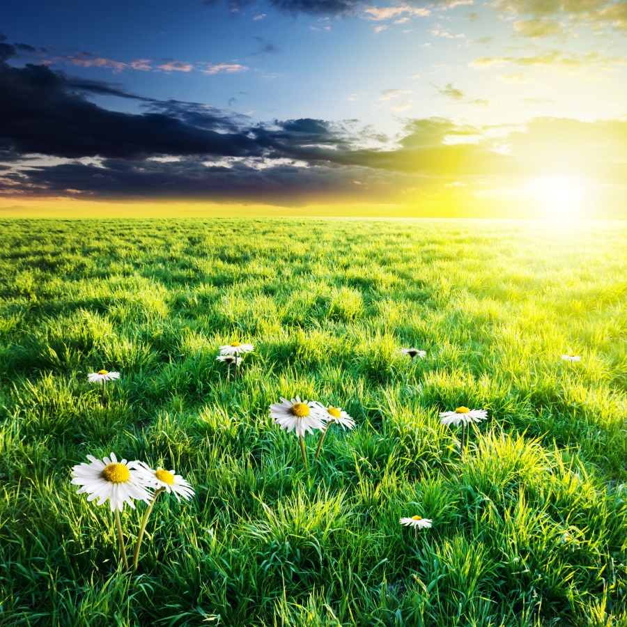 【心理辅导】避开“心理陷阱” 高考生心理调节秘法心理建设