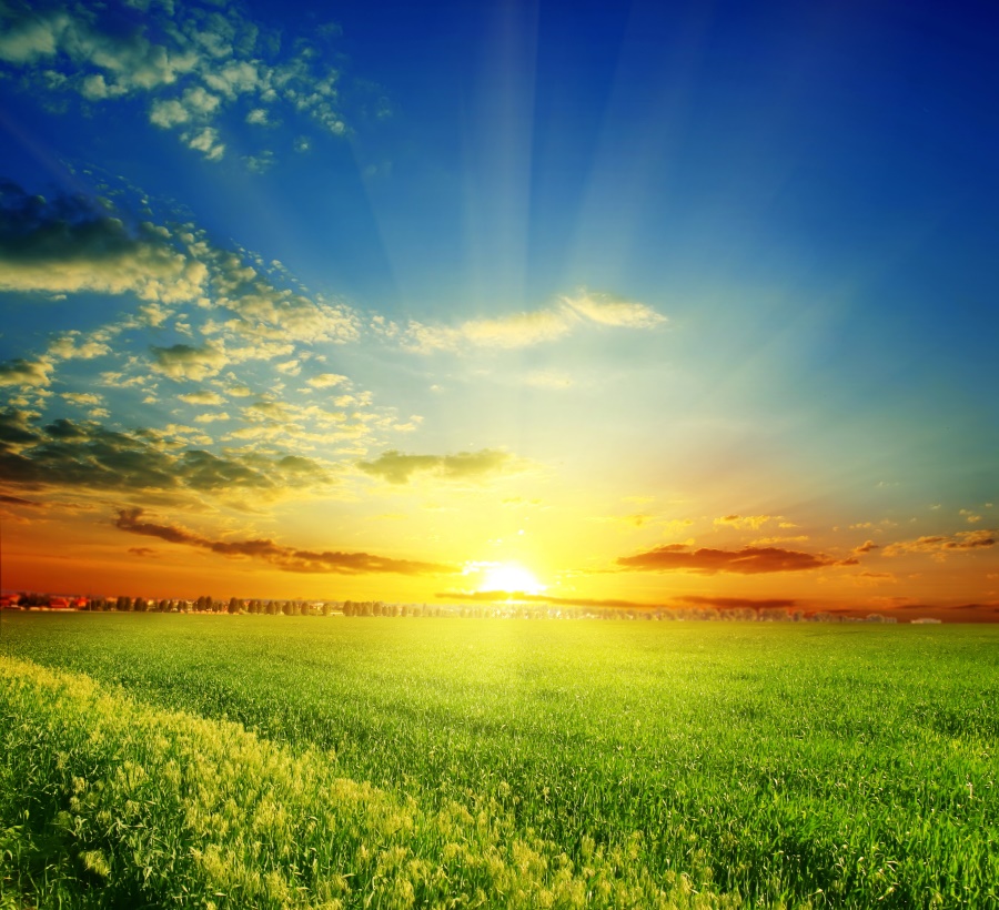 【心理辅导】高二生：曾经闹过矛盾的同学我要怎么相处？心理建设