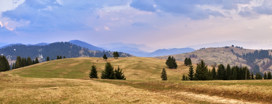 【心理辅导】父母打孩子产生五大危害心理建设