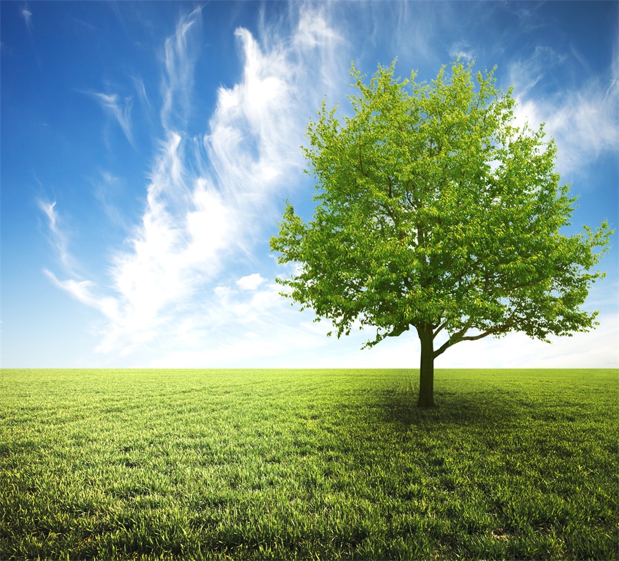 【心理辅导】快乐寒假攻略（二）心理建设