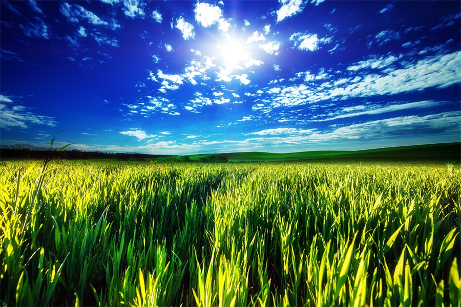 【心理辅导】无所谓和无所畏心理建设