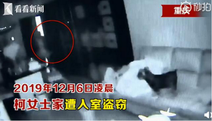 【惯犯】狗子听到家长进门提醒女孩写作业，具体是什么情况？