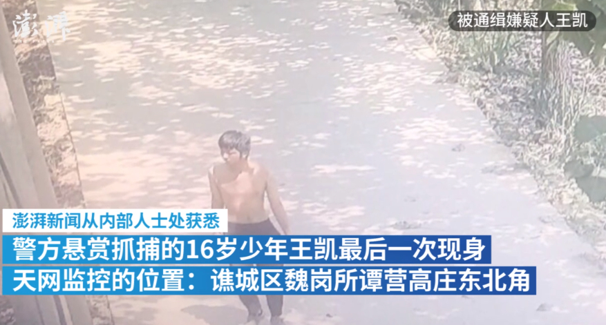 为何下此狠手?安徽亳州16岁犯罪嫌疑人落网,遇害者系其婶婶