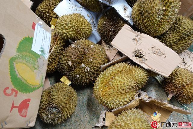 49吨榴莲销毁成有机肥 保障人民群众舌尖上的安全