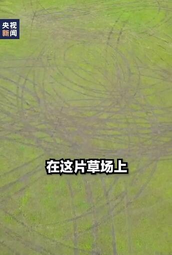 男子开车碾压草原被罚把草种回去 网友:活该!