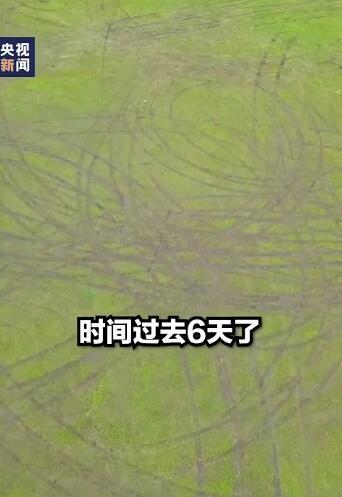 男子开车碾压草原被罚把草种回去 网友:活该!