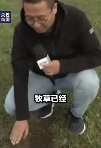 男子开车碾压草原被罚把草种回去 网友:活该!