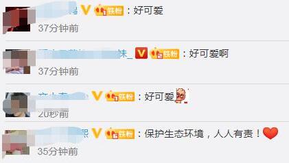 十分罕见！云南保山拍到珍稀野生动物云猫，网友：太可爱了