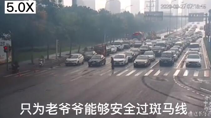 人间自有真情在!绿灯为过马路老人多亮了97秒 所有车辆按下暂停键!