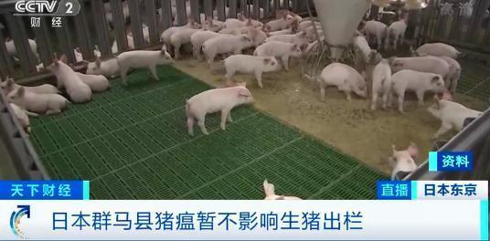 【重磅】日本已扑杀生猪17万头 业内担忧猪瘟向日本各地进一步蔓延