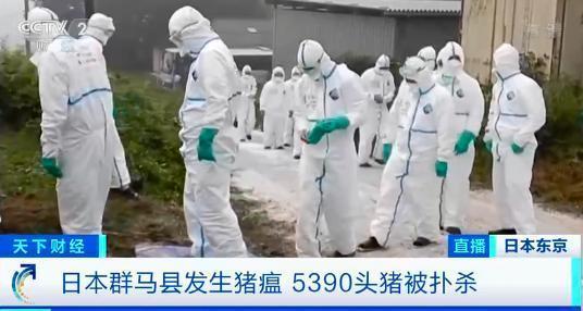 【重磅】日本已扑杀生猪17万头 业内担忧猪瘟向日本各地进一步蔓延