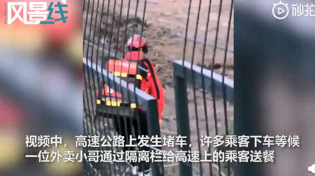 神马操作？司机带娃高速上搭帐篷等待救援 网友：建议重考科一！