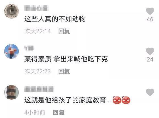 令人气愤！游客用裹塑料袋苹果投喂大象