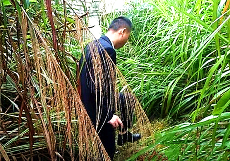 阴森恐怖！长沙78栋别墅无人认领犹如鬼城 25套完全没有业主任何信息