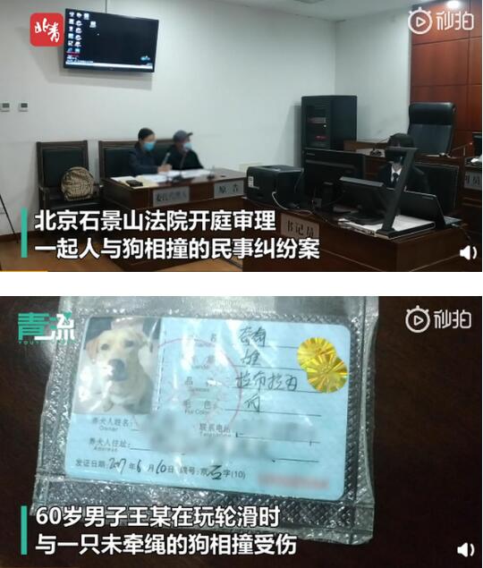 60岁大爷玩轮滑和未牵绳的狗相撞引热议，你怎么看？