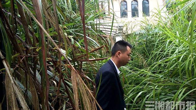 【后续】社区通报78栋别墅无人认领说了什么?到底啥情况?