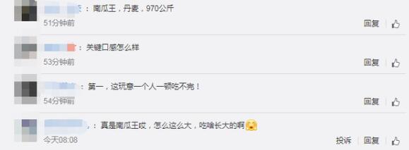 口感怎么样？丹麦巨型南瓜970公斤破纪录，种植秘诀来啦