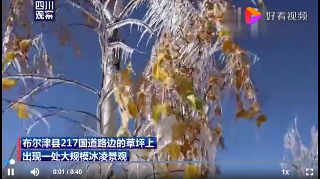 罕见!新疆出现罕见冰凌奇观,太美了!