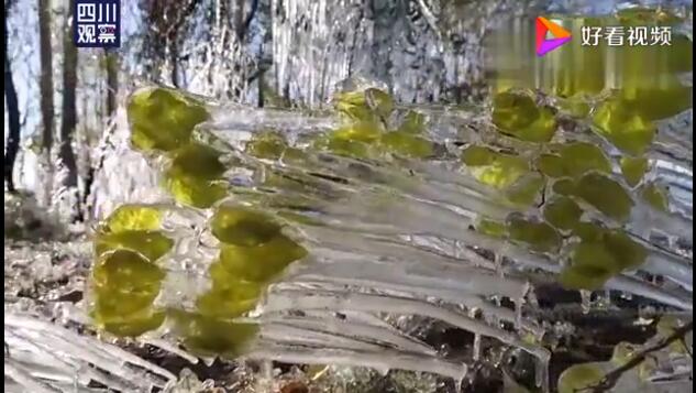 罕见!新疆出现罕见冰凌奇观,太美了!