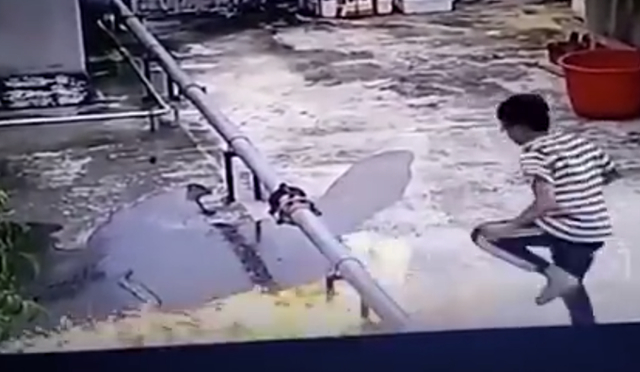 【最新】广西13岁男孩屋顶纵火 该不该让他承担法律责任?