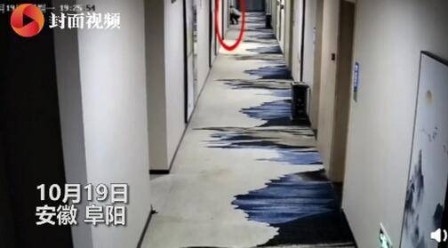 【自投罗网】民警宾馆查房门缝塞来小卡片 正撞枪口上了！