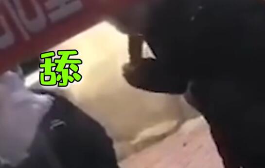 舔，再舔，继续舔！糖葫芦小贩用唾液沾芝麻被拍下