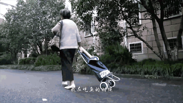 发现生活的美！88岁奶奶用鱼骨蟹脚作画上热搜【多图】
