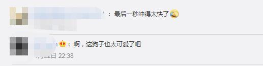 成精了！狗子连喊带比划叫小伙伴出去玩 我竟看懂了