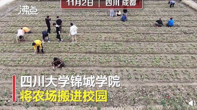 争议不断!四川一高校将种田纳入必修课 修满64个学时才能毕业