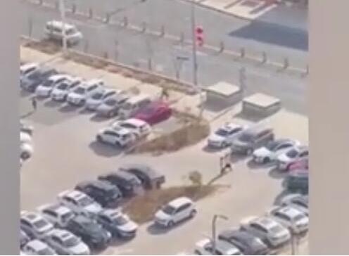 不进国家队可惜了！女孩每天狂奔踩点上班被老板拍下