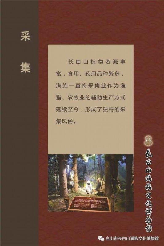 场面壮观!长白山连降大雪 卫生间现2米雪墙