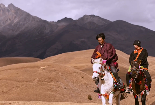 Battle!四川日报让丁真玩够早点回家 各省“大混斗”