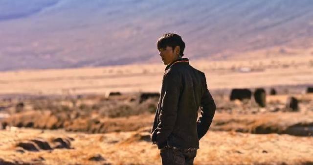 Battle!四川日报让丁真玩够早点回家 各省“大混斗”