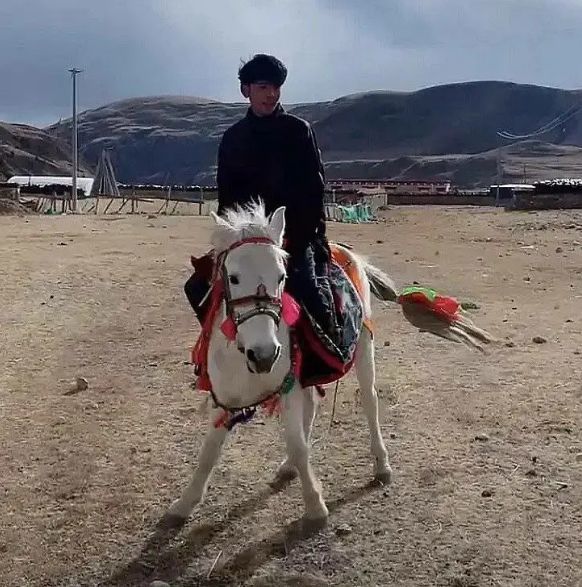 Battle!四川日报让丁真玩够早点回家 各省“大混斗”