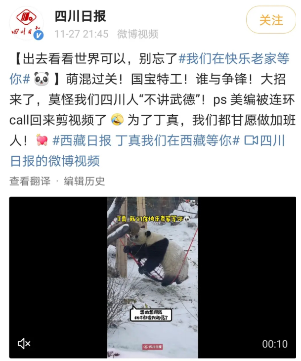 Battle!四川日报让丁真玩够早点回家 各省“大混斗”