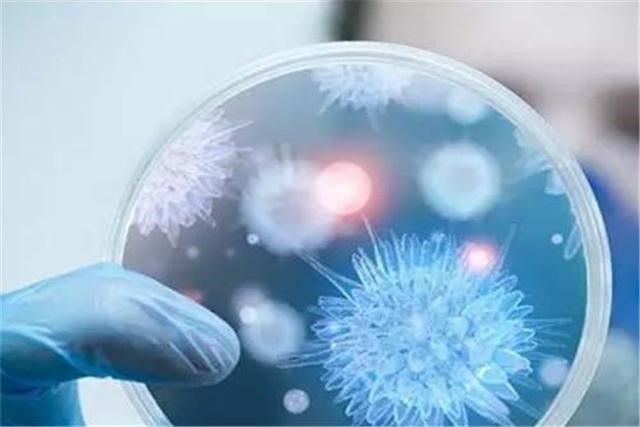 欧洲拉响疫情警报 关键时刻欧盟竟紧急叫停！