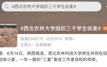 重庆明令禁止公办普通高中招收复读生 西北农林大学组织3000学子收小麦