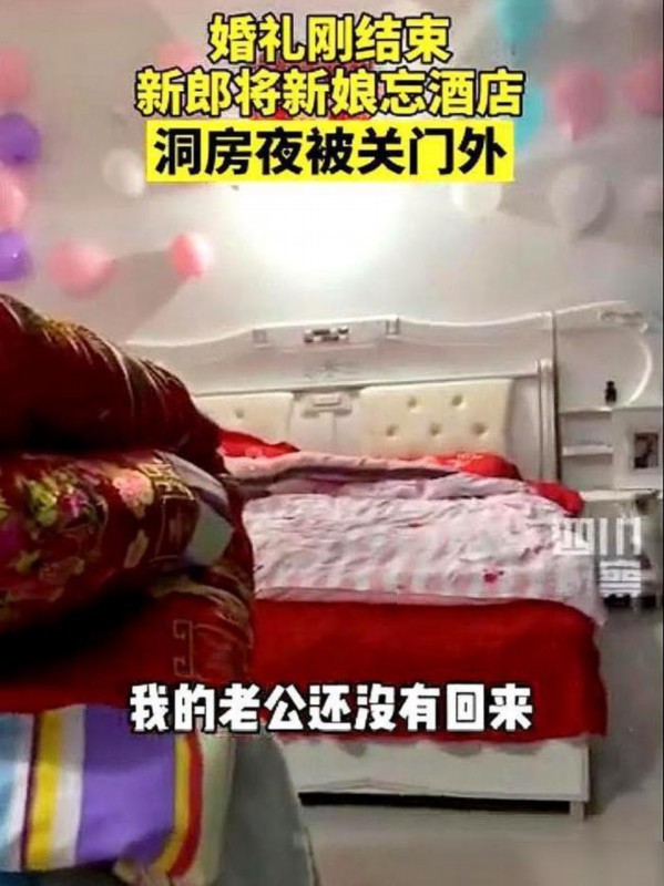 【真好嗑】新郎结完婚把新娘忘在酒店，凌晨才跑去认错