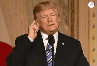 外媒:特朗普弹劾案审讯2月8日开始 美众议院将提交劾案文件