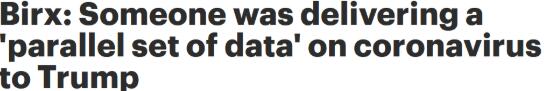 前白宫疫情专家：特朗普收到另一份“疫情数据” ，和我无关!