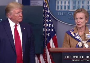 前白宫疫情专家：特朗普收到另一份“疫情数据” ，和我无关!