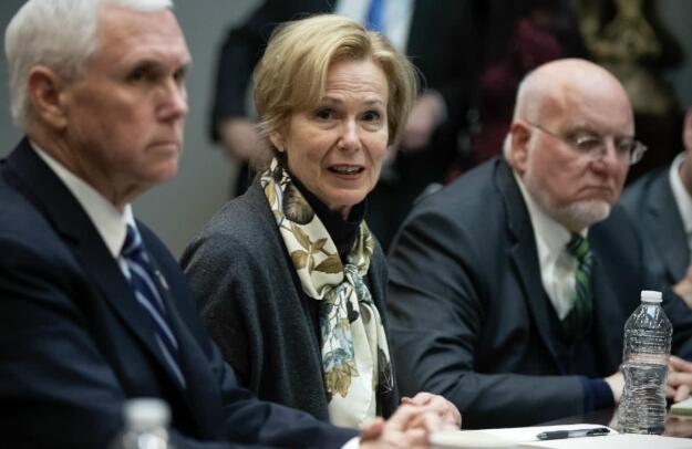 前白宫疫情专家：特朗普收到另一份“疫情数据” ，和我无关!