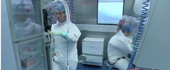 世卫专家组：武汉P4实验室设备精良制度严密，没有泄露条件