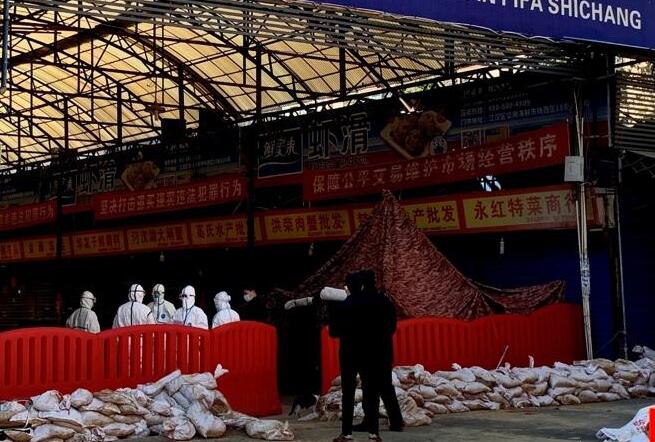 世卫专家组：武汉P4实验室设备精良制度严密，没有泄露条件