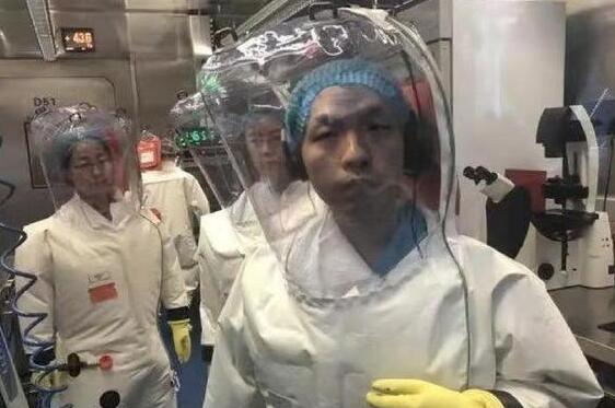 世卫专家组：武汉P4实验室设备精良制度严密，没有泄露条件