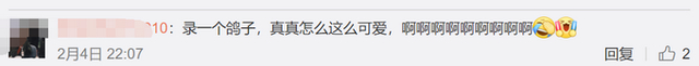 王冰冰连线采访丁真,这是什么梦幻联动现场?
