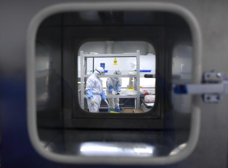 世卫专家公开披露 原来中国当初做了这么多