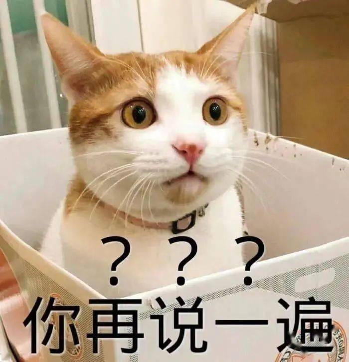 货拉拉回应女子搬家途中跳车身亡 短短的6分钟里到底发生了什么?