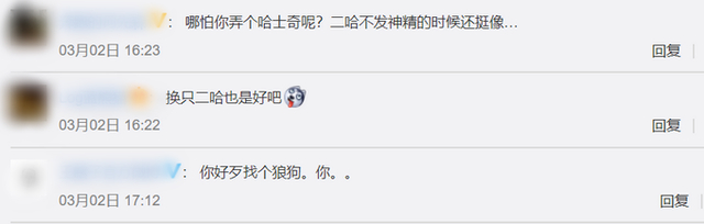 这也太敷衍了！湖北一动物园以狗充狼，园方回应：狼已老死，狗无处可放