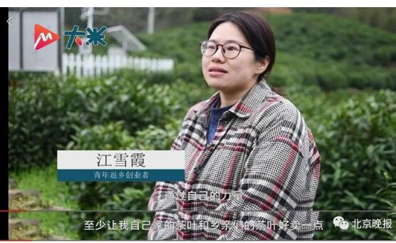 女生辞职回乡当茶农为村里增收，自创粽子茶一年卖出40万颗